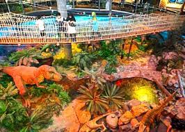 Petrosains