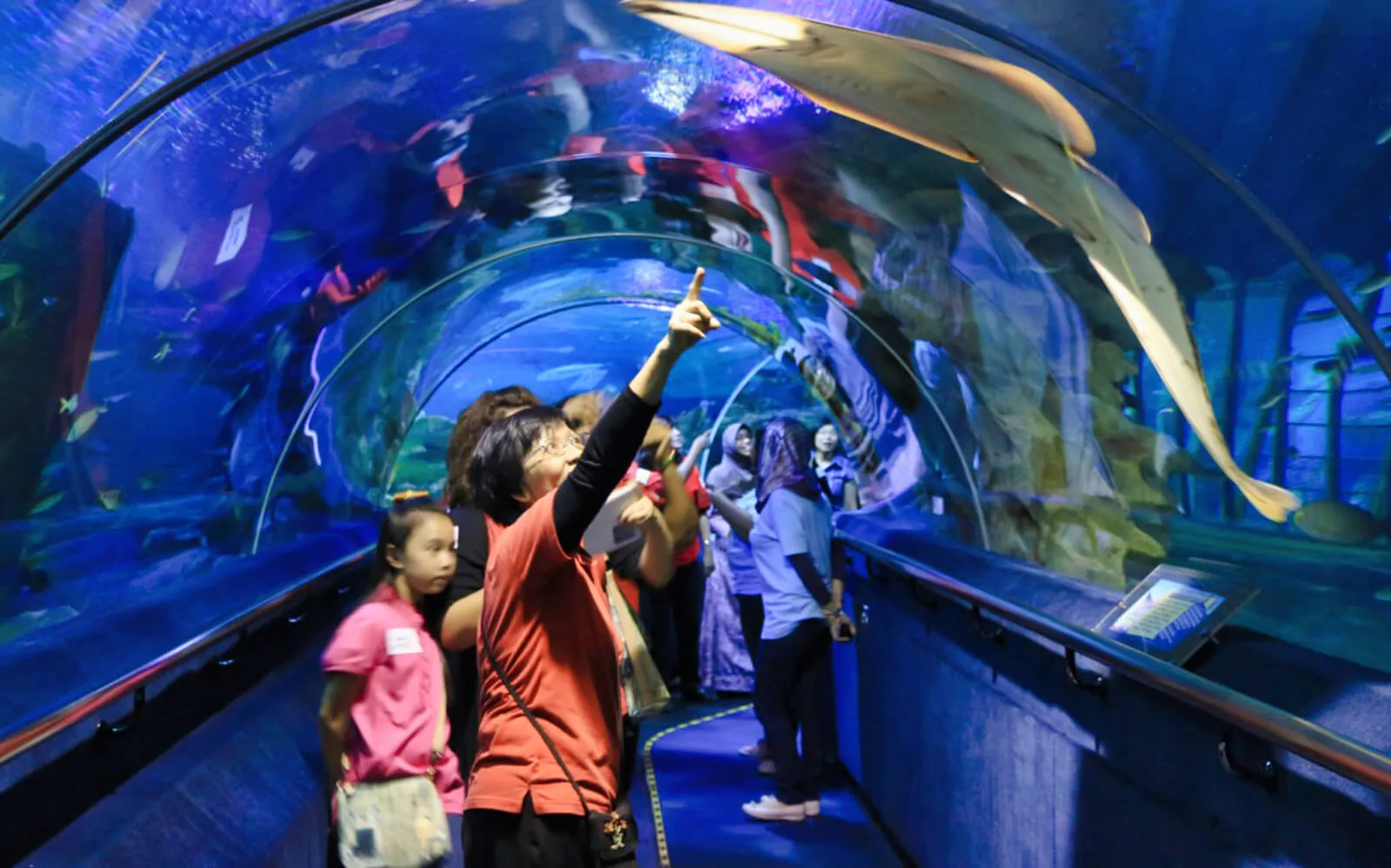 Aquaria Park